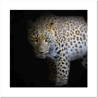 Panther Animal Wildlife Jungle Nature Freedom Travel Africa Posters and Art